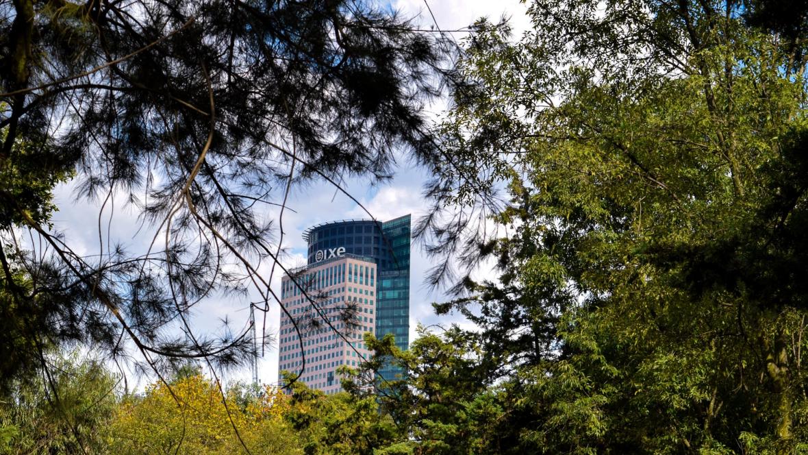 Derecho a la sombra en la ciudad. ¿Dónde están los árboles? | CENIE